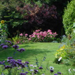 small lawn surrounded by flowers