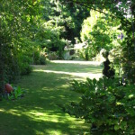 lawn in dappled sunlight